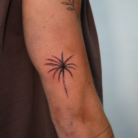 Fine line sun and leaf tattoos on a forearm